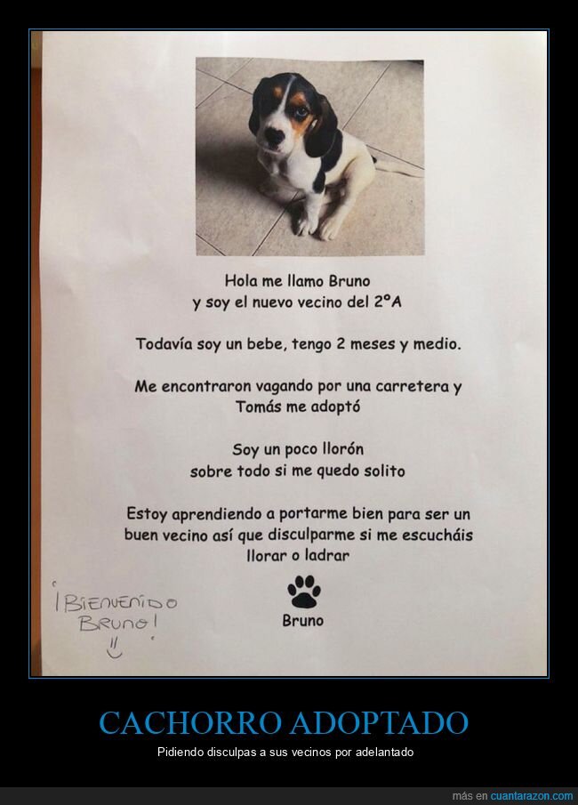 cachorro,perro,adoptar,vecinos,carteles