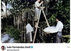 Enlace a El día que los británicos se tragaron que los espaguetis se cultivaban en árboles de granjas suizas gracias a un documental emitido en la BBC