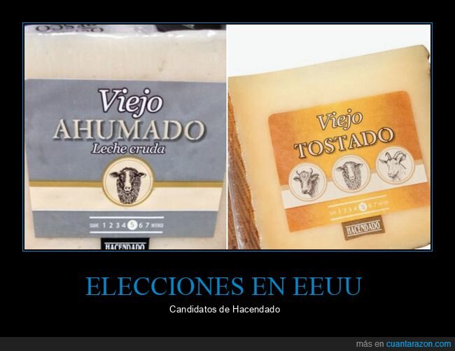 elecciones,eeuu,queso,biden,donald trump,políticos