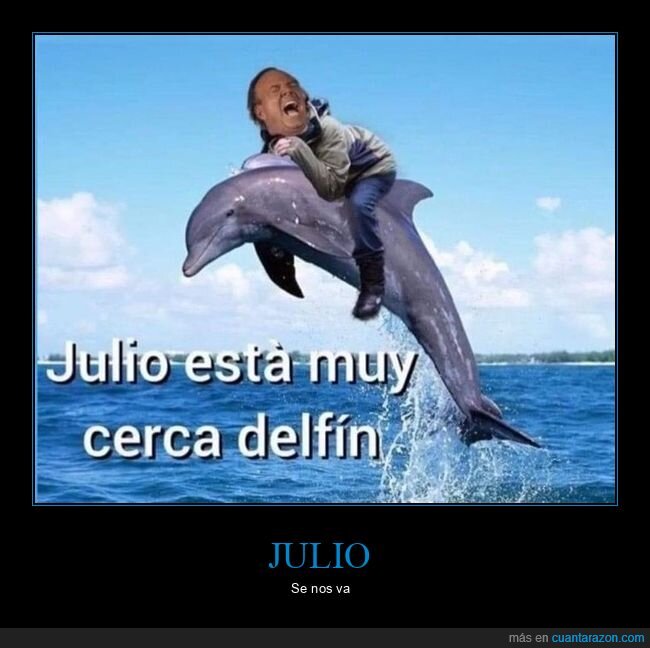 julio,julio iglesias,fin,delfin,memes