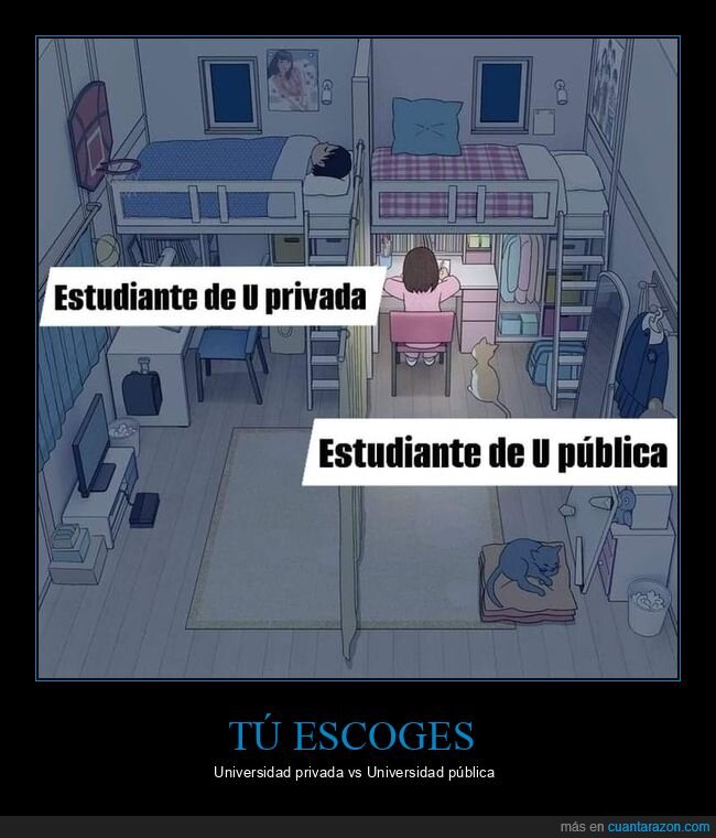 universidad,privada,pública