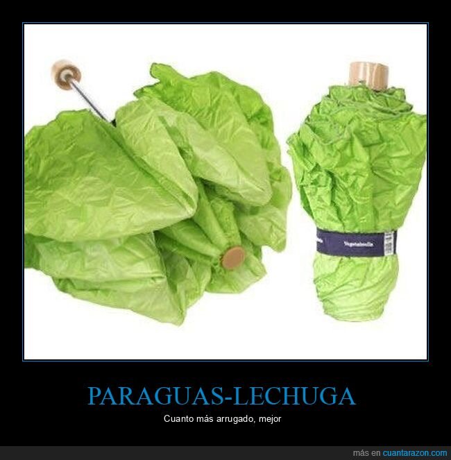 paraguas,lechuga