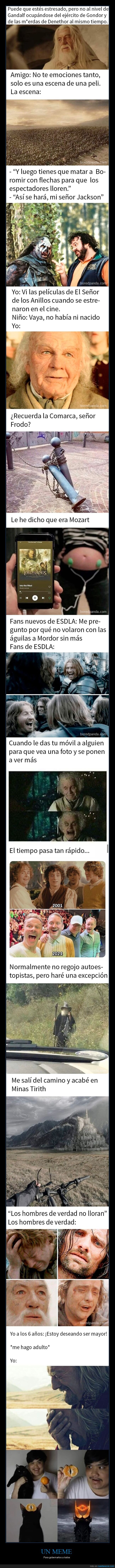 señor de los anillos,memes