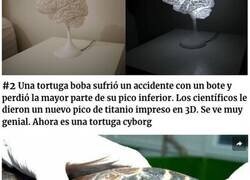 Enlace a Personas llevando la impresión 3D a otro nivel haciendo cosas brutales