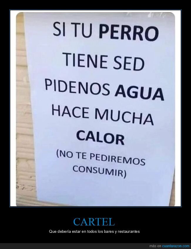 cartel,mascotas,agua,perro