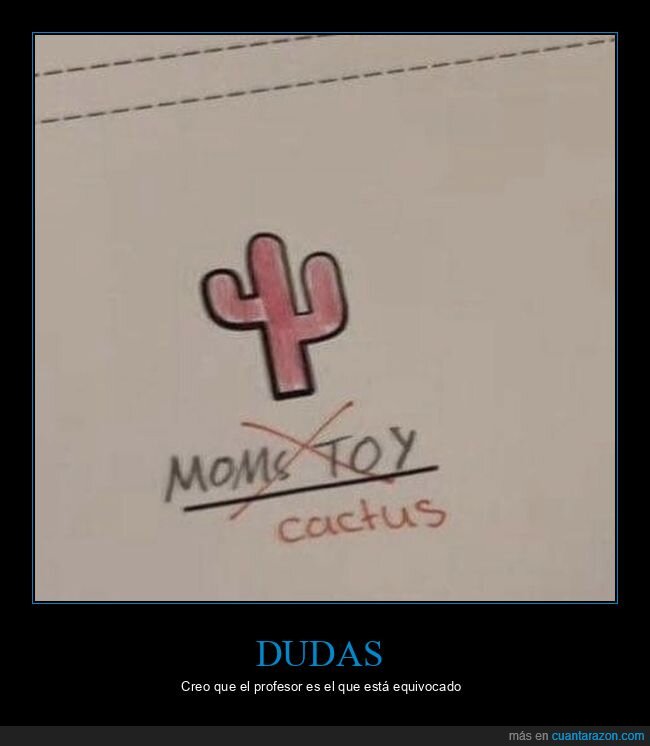 examen,ejercicio,cactus