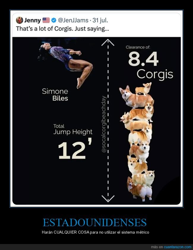 corgis,juegos olímpicos,salto de altura,simone biles,sistema métrico