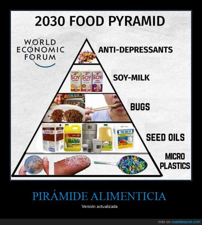 pirámide alimenticia,2030