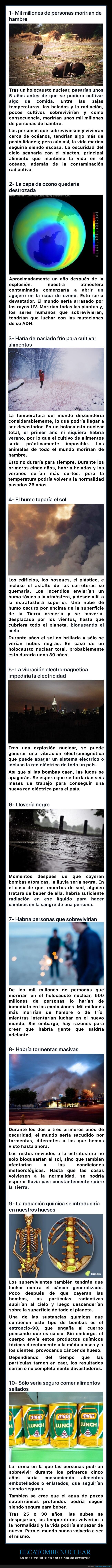 hecatombe nuclear,consecuencias