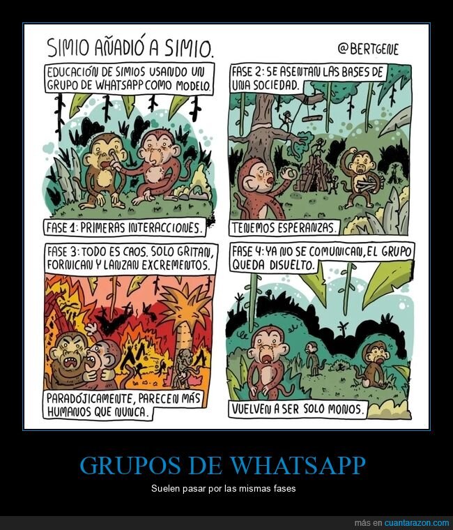 grupo de whatsapp,simios,fases