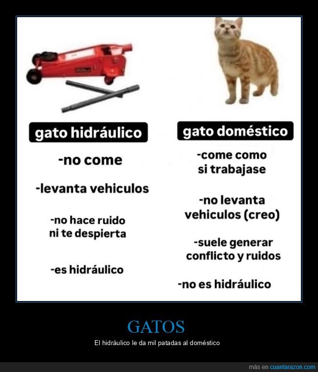 gato hidráulico,gato doméstico,comparativa