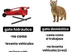 Enlace a Comparativa de gatos