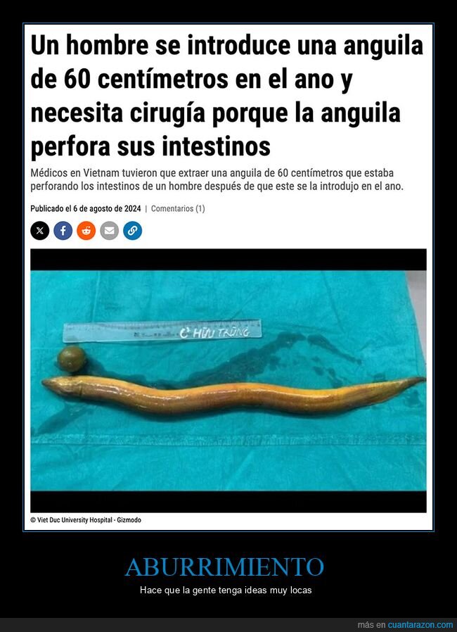 angula,wtf