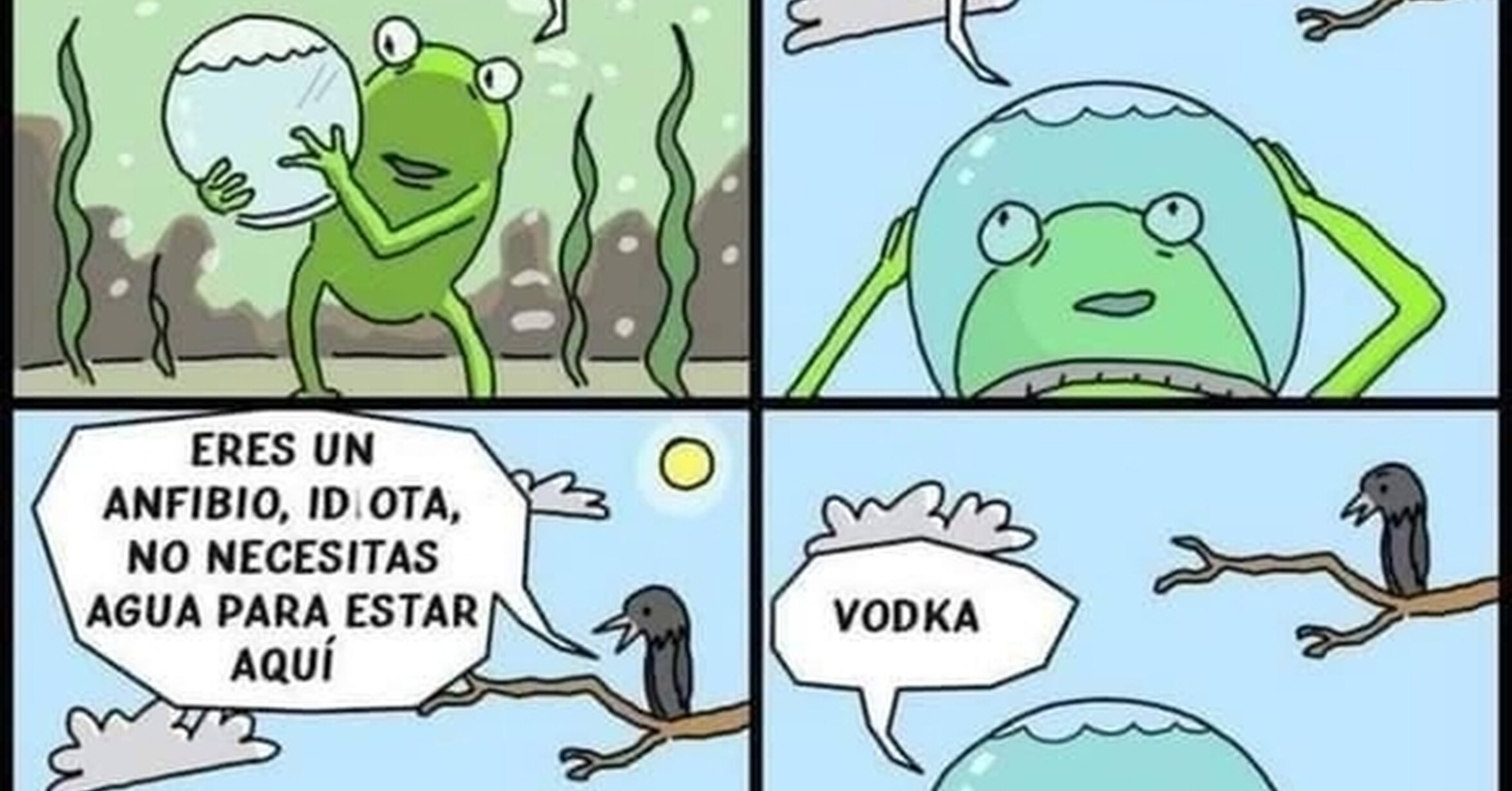 ¡Cuánta razón! / Rana exploradora