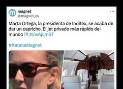 Enlace a El último capricho de Marta Ortega