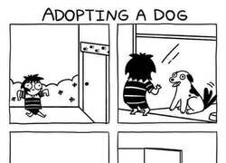 Enlace a Adoptar un perro VS Adoptar a un gato