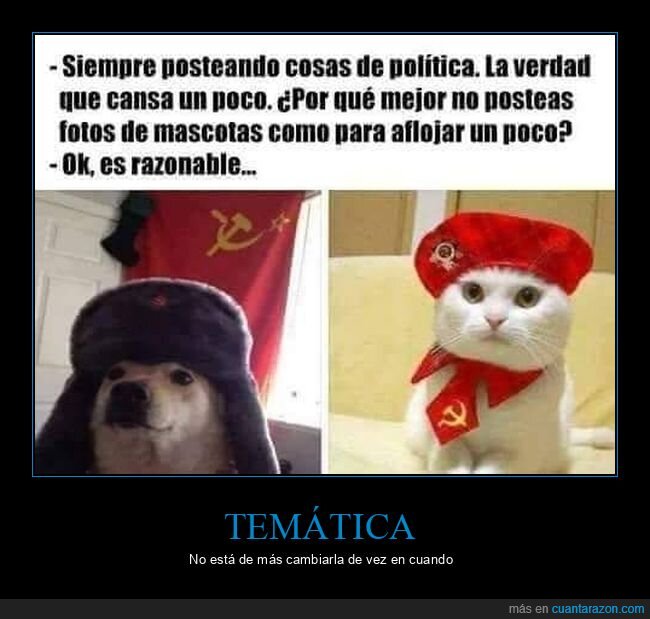 política,mascotas