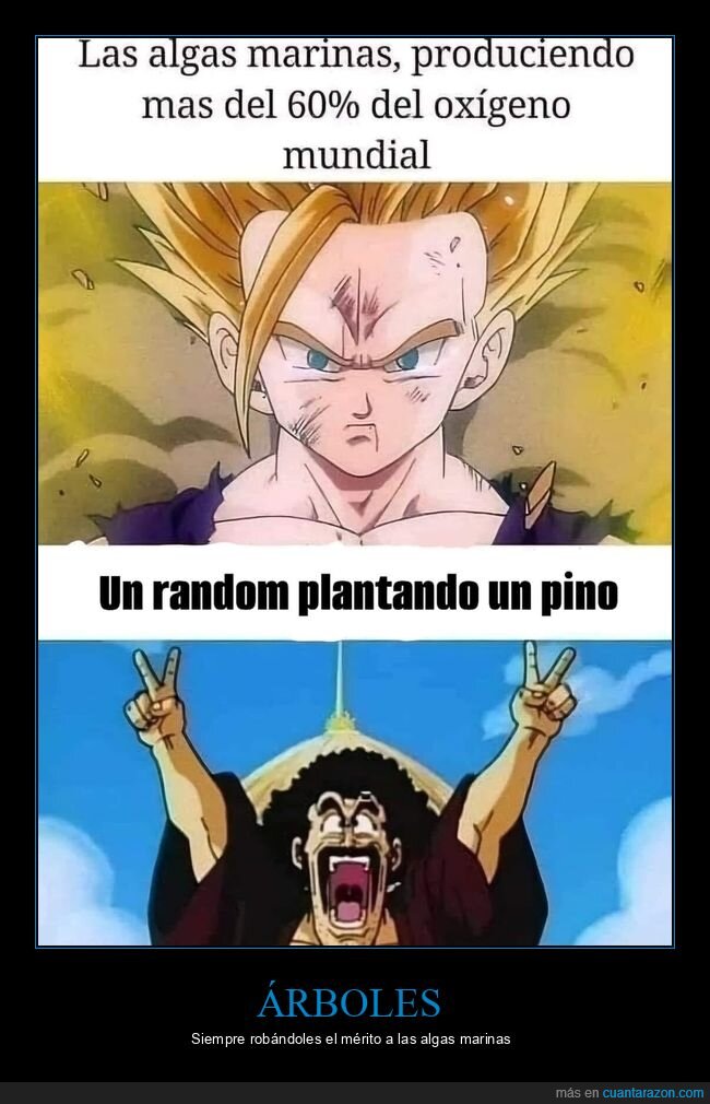 algas marinas,oxígeno,árboles,dragon ball