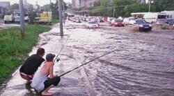 Enlace a De pesca en la ciudad