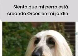 Enlace a Cuando tu perro es Saruman