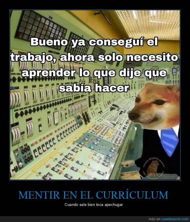 conseguir,trabajo,aprender