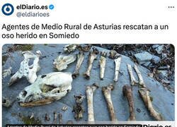 Enlace a Sí que se le ve herido...