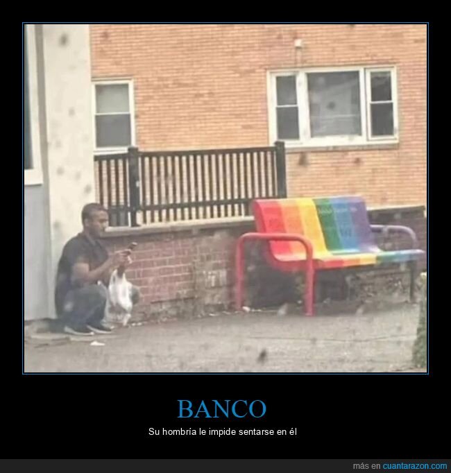 banco,gay,sentado