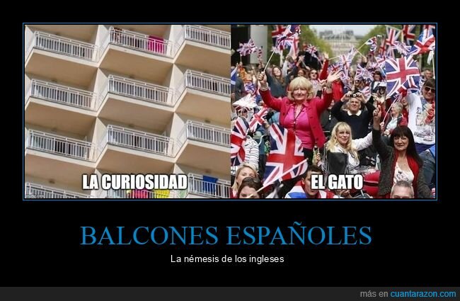 balconing,curiosidad,gato,ingleses