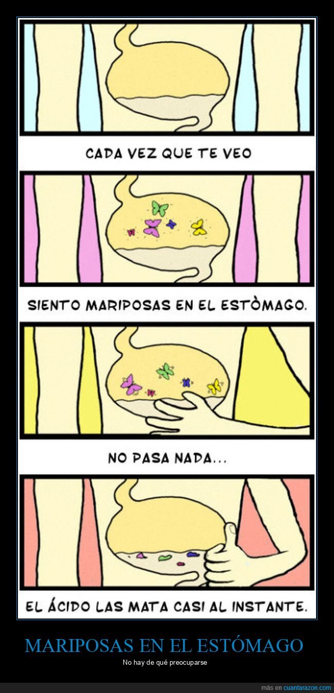 estómago,mariposas