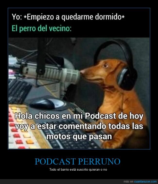 podcast,perros,vecino,motos