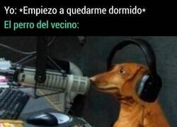 Enlace a El podcast de todas las noches