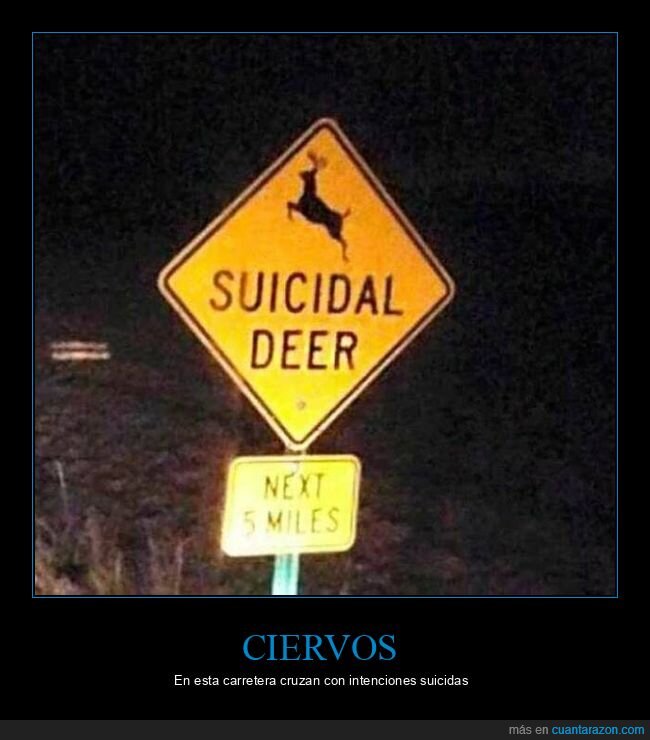 ciervos,suicidas,señales