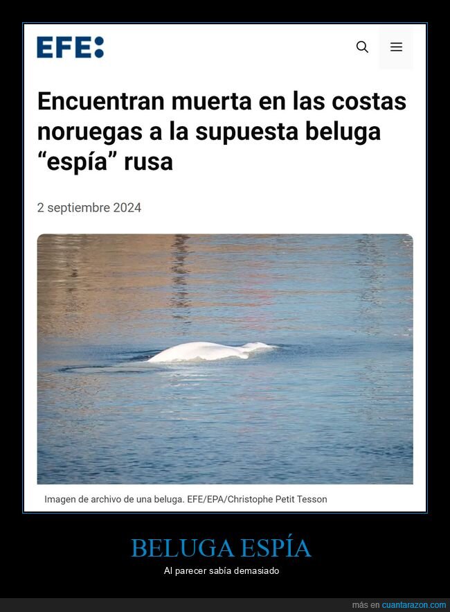 beluga,espía,rusa