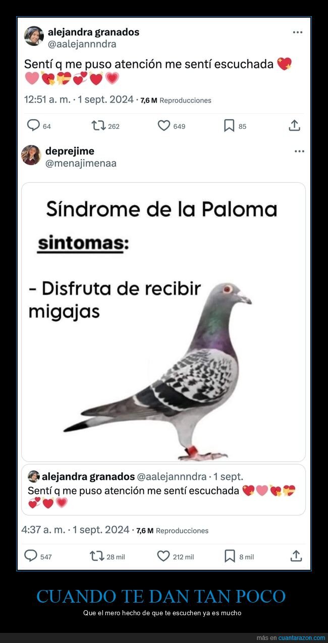 atención,escuchar,paloma,migajas