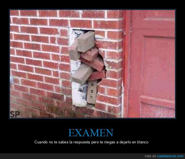 examen,respuesta,ladrillos