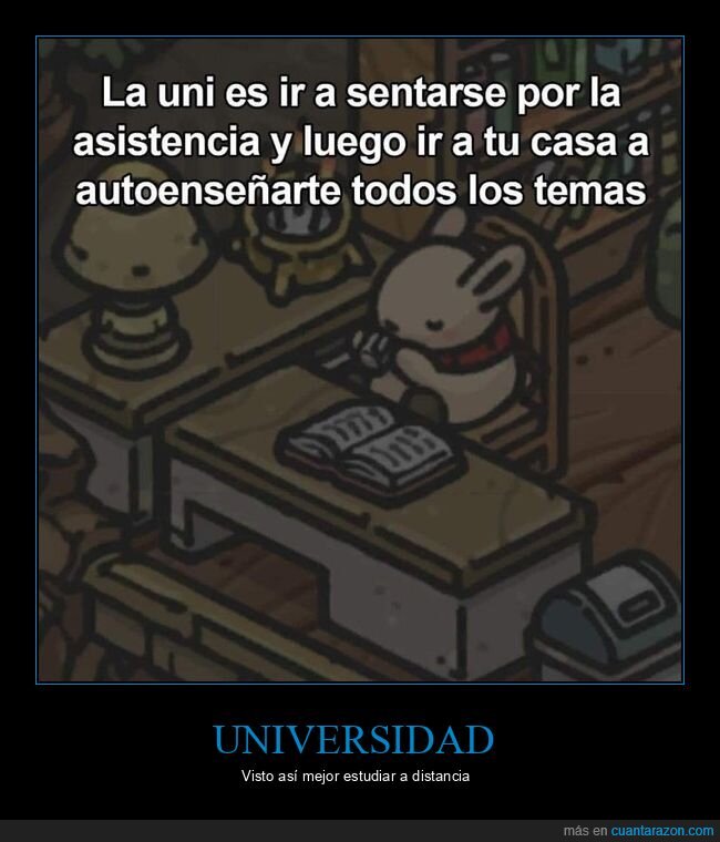 universidad,asistencia,autoenseñarse