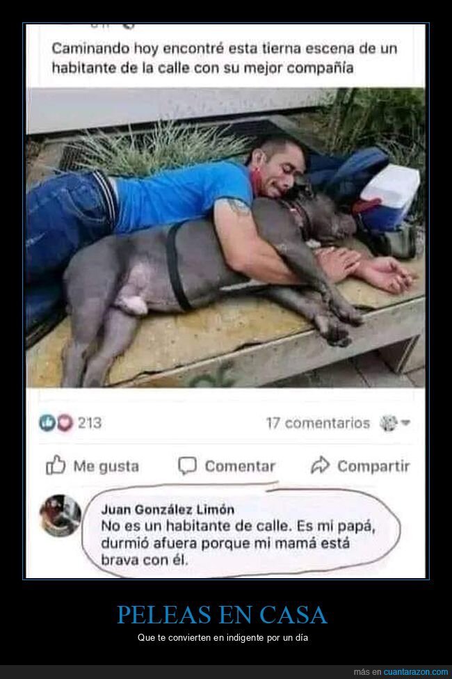 indigente,perro,padre,madre