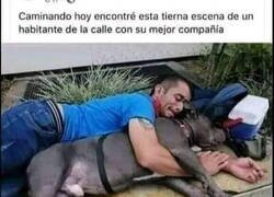 Enlace a Un indigente con su mejor amigo