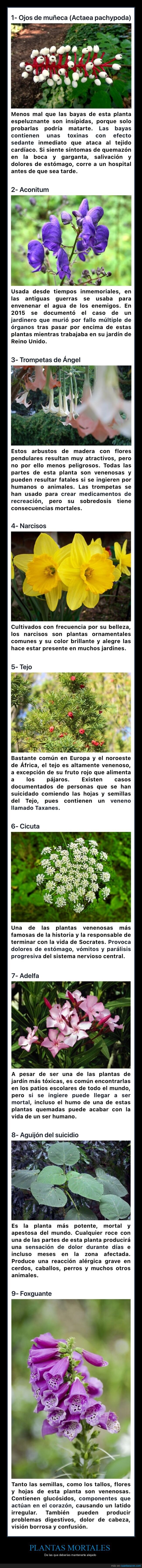 plantas,mortales