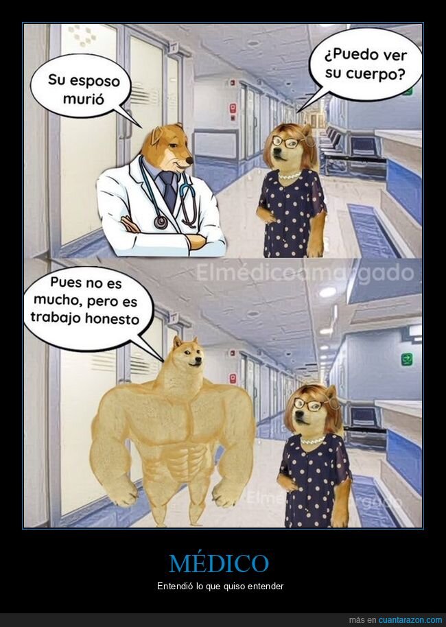 marido,morir,cuerpo,doge