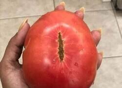 Enlace a El tomate de Sauron