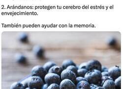 Enlace a Los 10 mejores alimentos para el cerebro