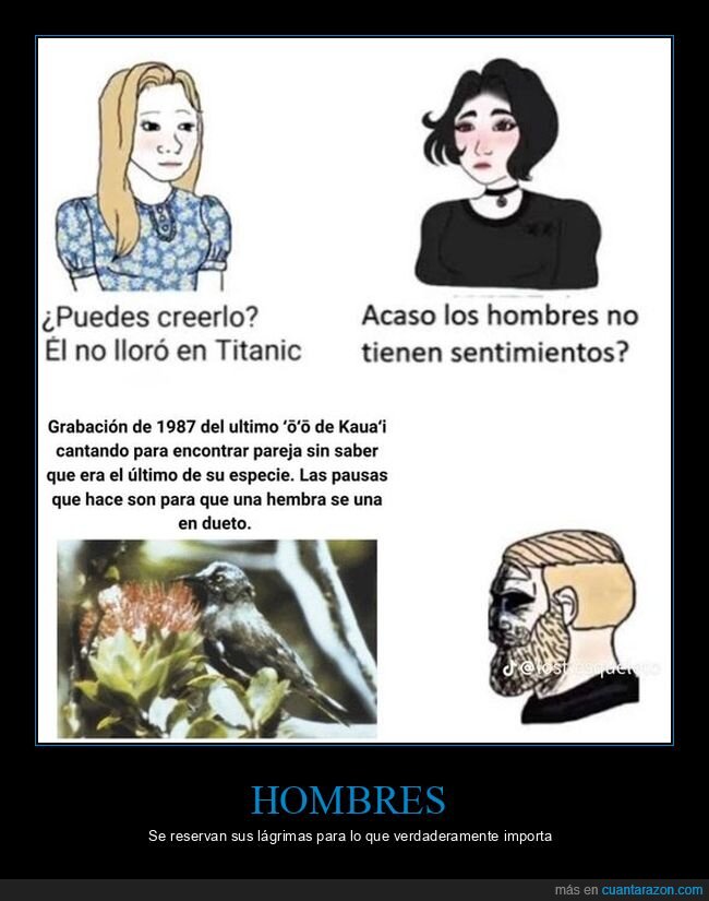 llorar,titanic,pájaro,pareja,último,especie