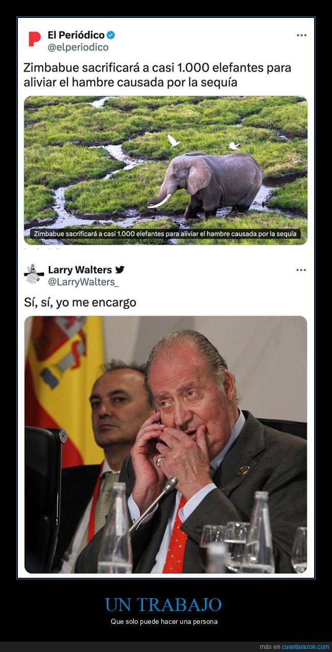 elefante,juan carlos i,sacrificar,zimbabwe