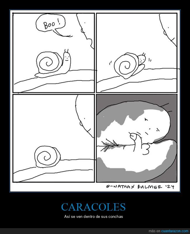 caracol,susto,concha