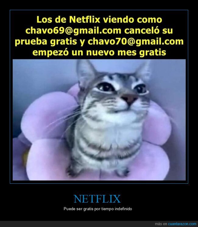 netflix,prueba,gratis