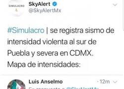 Enlace a Un simulacro muy real