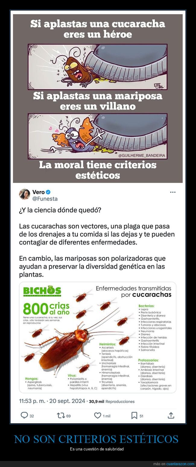 aplastar,cucaracha,estética,mariposa,moral