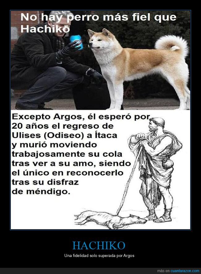 hachiko,argos,ulises