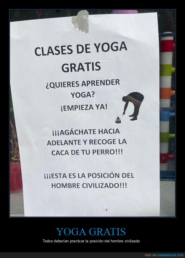 yoga,carteles,recoger,cacas,perros